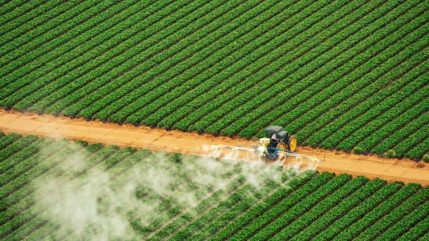 Best Pest Removal Services  in Metter, GA